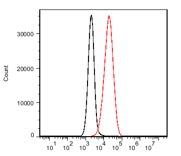 Mouse Monoclonal Antibody to CD19