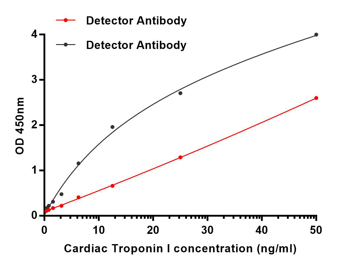 Mouse Monoclonal Antibody to Cardiac Troponin I