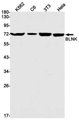BLNK