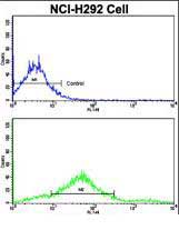 Rabbit Polyclonal Antibody to CDH7 (N-term)