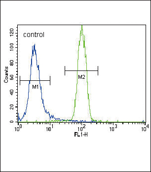 Rabbit Polyclonal Antibody to HNF4A