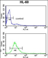 Rabbit Polyclonal Antibody to EXOSC8