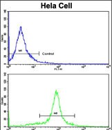 Rabbit Polyclonal Antibody to GOLPH3