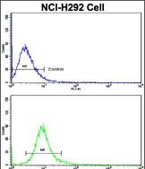 Rabbit Polyclonal Antibody to CUL5
