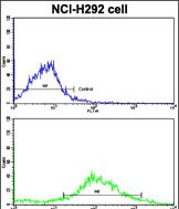 Rabbit Polyclonal Antibody to CYP20A1