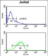 Rabbit Polyclonal Antibody to IGFALS