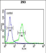 Rabbit Polyclonal Antibody to BTBD1