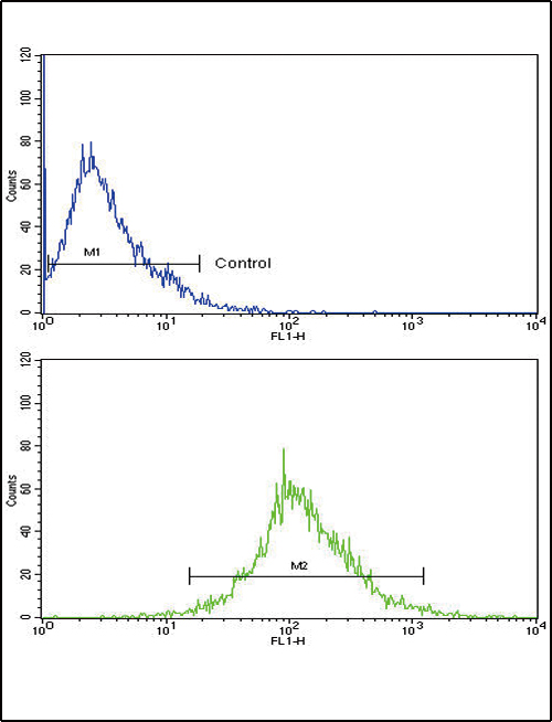 Rabbit Polyclonal Antibody to CATB