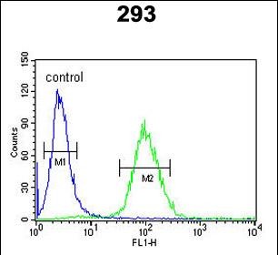 Rabbit Polyclonal Antibody to DPP8