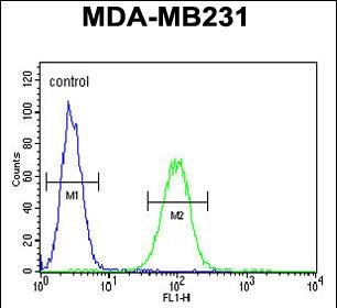 Rabbit Polyclonal Antibody to CTSF (Center D276)