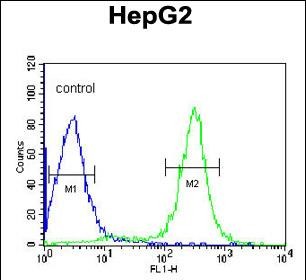 Rabbit Polyclonal Antibody to ITIH2