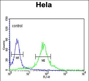 Rabbit Polyclonal Antibody to FKBP2 (N-term)