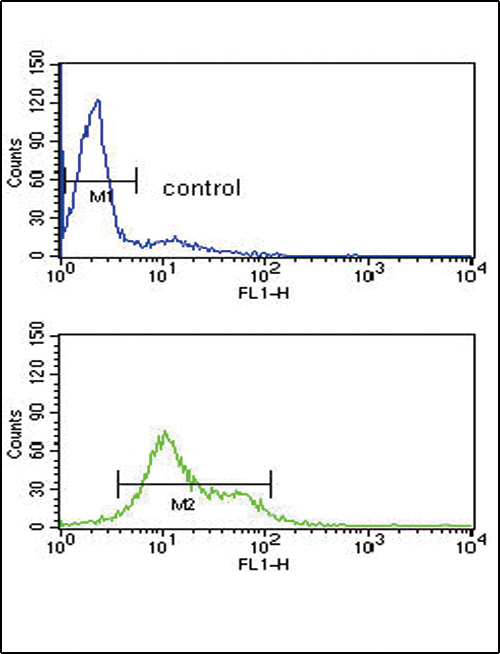 Rabbit Polyclonal Antibody to MDH1