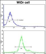 Rabbit Polyclonal Antibody to GSTP1