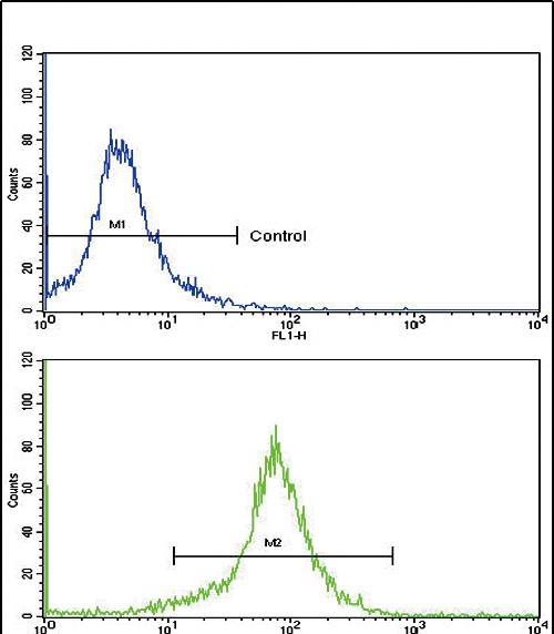 Rabbit Polyclonal Antibody to SOD3 (N-term)
