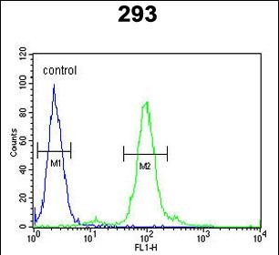 Rabbit Polyclonal Antibody to FAU