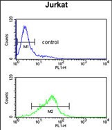 Rabbit Polyclonal Antibody to RBM14