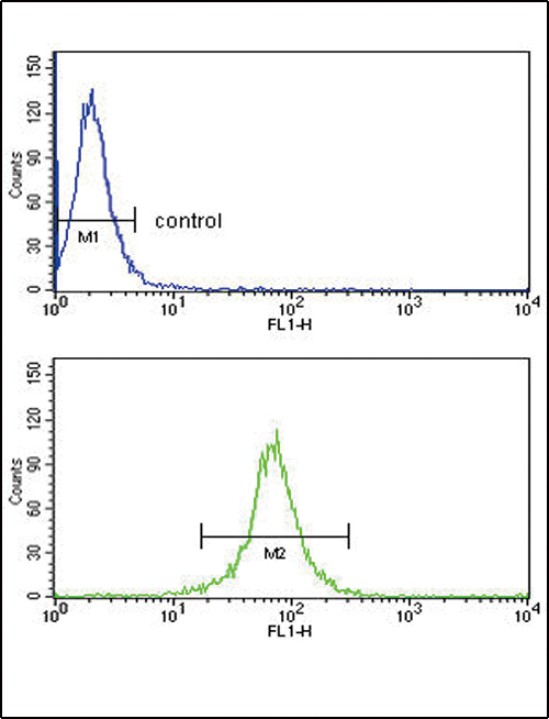 Rabbit Polyclonal Antibody to KIR2DL4