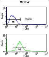 Rabbit Polyclonal Antibody to CDIPT