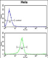 Rabbit Polyclonal Antibody to TSPAN6