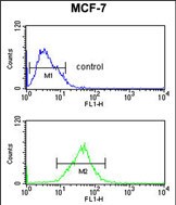 Rabbit Polyclonal Antibody to SNRPD3