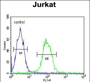 Rabbit Polyclonal Antibody to T150A