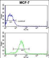 Rabbit Polyclonal Antibody to ADCY7