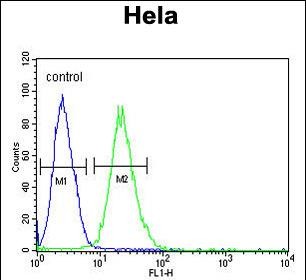 Rabbit Polyclonal Antibody to RPL31