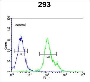 Rabbit Polyclonal Antibody to NXPH1 (N-term)