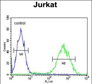 Rabbit Polyclonal Antibody to PRUNE