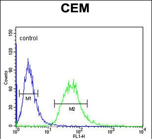 Rabbit Polyclonal Antibody to CA6