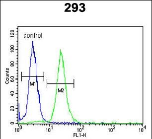 Rabbit Polyclonal Antibody to LMBR1L