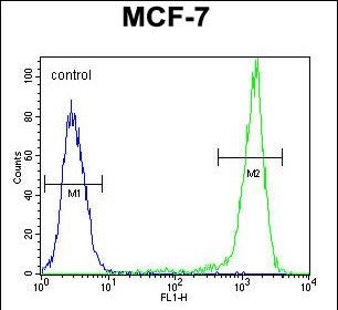 Rabbit Polyclonal Antibody to SGMS2
