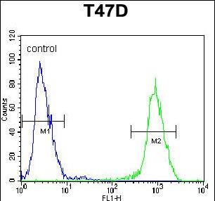 Rabbit Polyclonal Antibody to RHG19