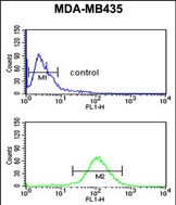 Rabbit Polyclonal Antibody to NARFL
