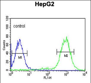 Rabbit Polyclonal Antibody to C19orf21 (N-term)