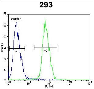 Rabbit Polyclonal Antibody to PLA2G1B