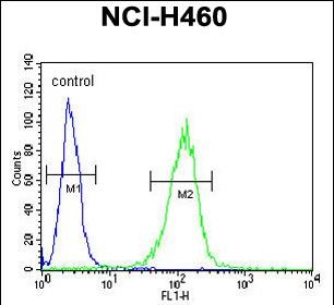 Rabbit Polyclonal Antibody to COQ9