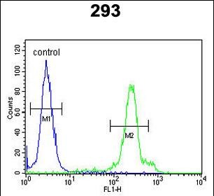 Rabbit Polyclonal Antibody to ERMIN