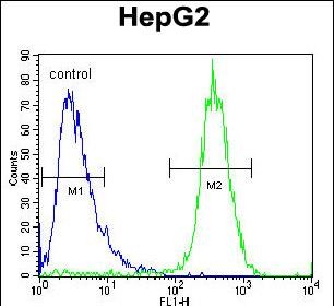 Rabbit Polyclonal Antibody to TYROBP