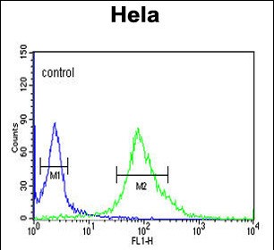 Rabbit Polyclonal Antibody to DDX49