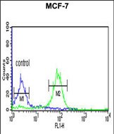 Rabbit Polyclonal Antibody to FAM44B