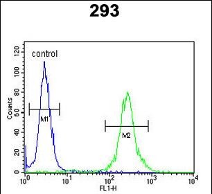 Rabbit Polyclonal Antibody to MRAP (N-term)