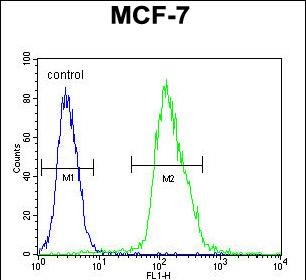Rabbit Polyclonal Antibody to MFAP4