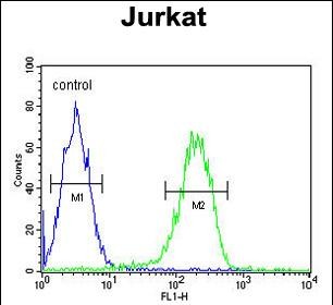 Rabbit Polyclonal Antibody to PAN3  (C-term)