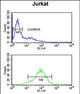 Rabbit Polyclonal Antibody to ANR49
