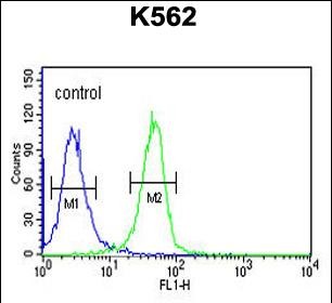 Rabbit Polyclonal Antibody to EFR3A