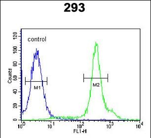 Rabbit Polyclonal Antibody to HEL308