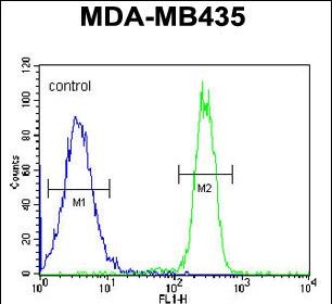 Rabbit Polyclonal Antibody to SGF29  (C-term)
