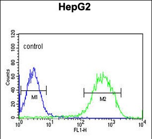 Rabbit Polyclonal Antibody to MMD (N-term)